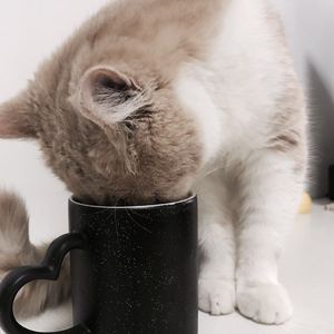 刘涛伦流澡到高潮
